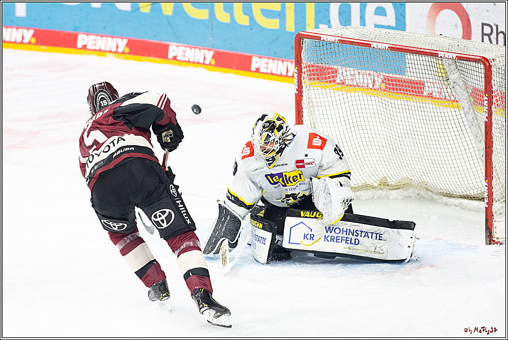 PENNY DEL;  Koelner Haie - Krefeld Pinguine; Koeln, 24.02.2021